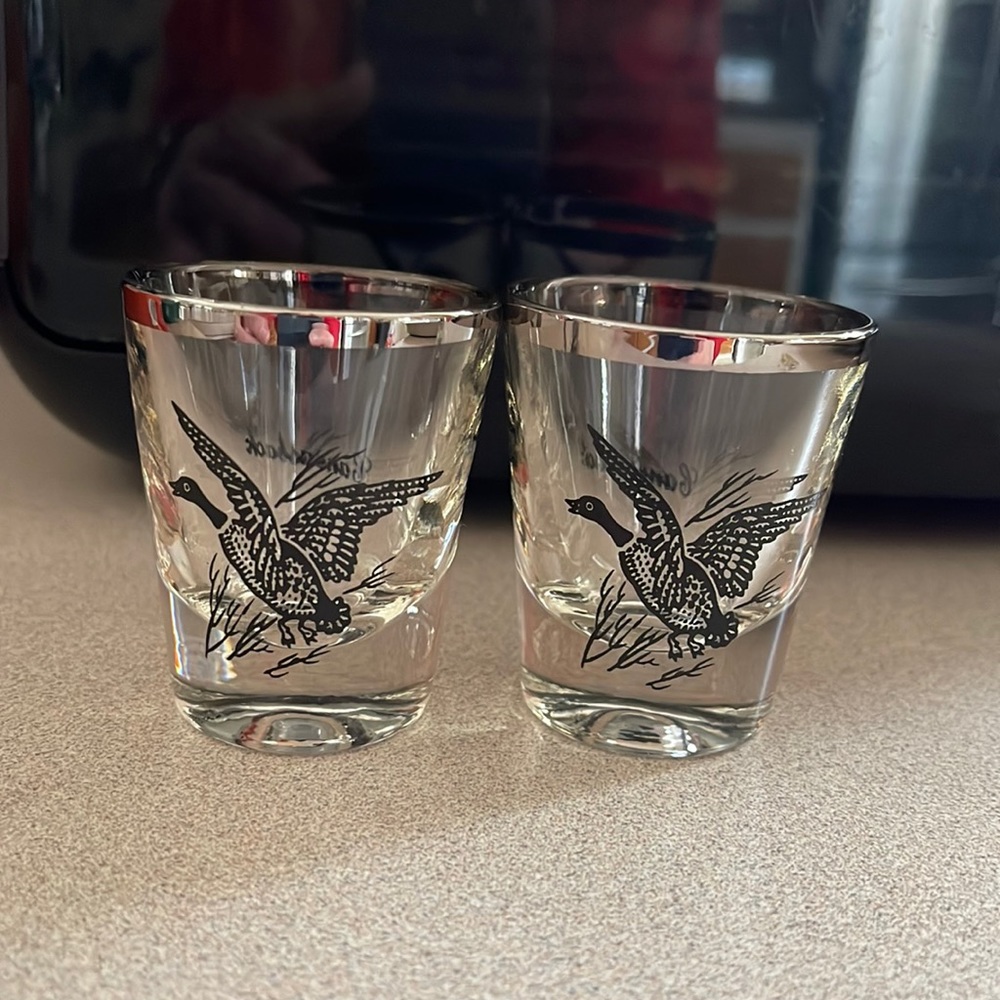 Set of 2 Shot glasses